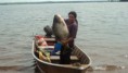 /album/galeria-de-fotos-fotos-santa-clara/santa-clara-peixe-pacu-jpg/